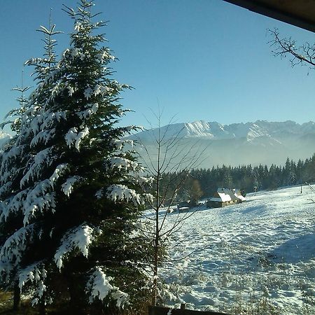 Panorama Tatr Hotel Zakopane Eksteriør billede