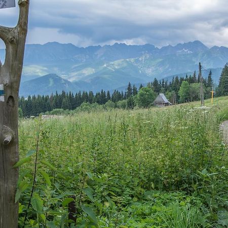 Panorama Tatr Hotel Zakopane Eksteriør billede