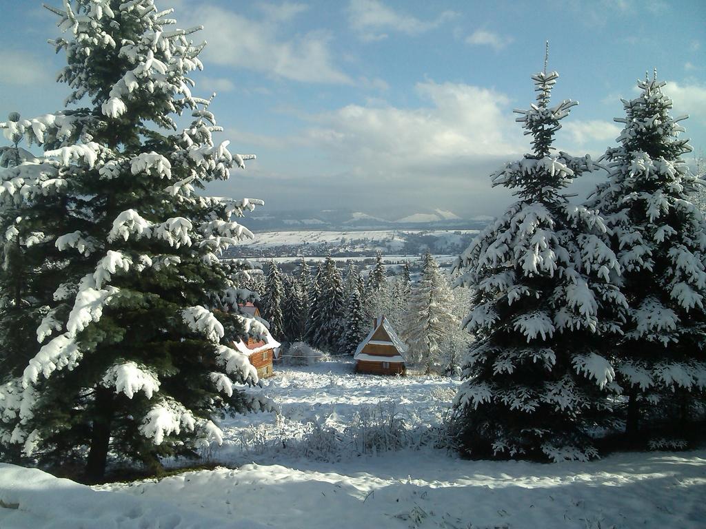 Panorama Tatr Hotel Zakopane Eksteriør billede
