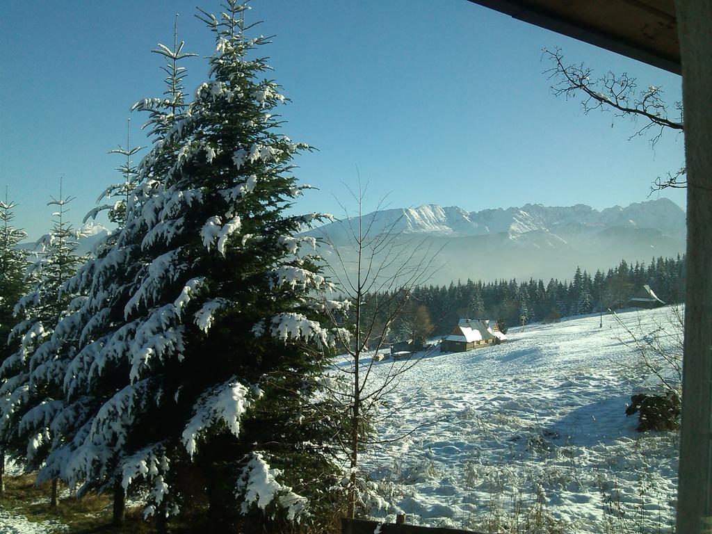 Panorama Tatr Hotel Zakopane Eksteriør billede