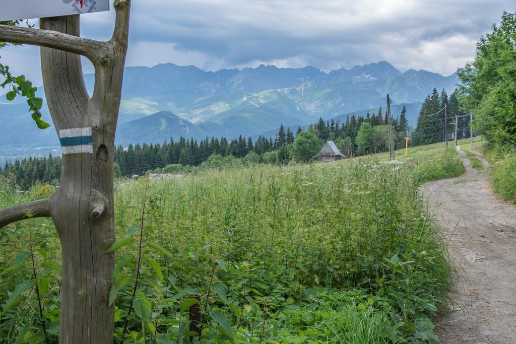 Panorama Tatr Hotel Zakopane Eksteriør billede